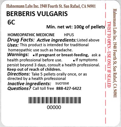 Berberis Vulgaris 6c 100g (Berberis Vulgaris 6c 100g)